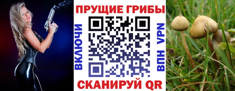 Галлюциногенные грибы ЛСД  Алзамай 